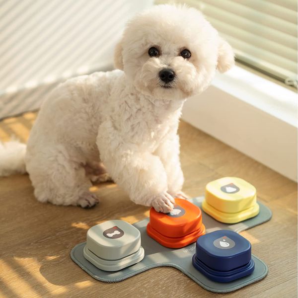 The 5 Best Dog Talking Buttons