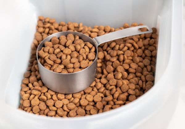 The 5 Best Dog Food Storage Containers; Customer’s Choice For 2023