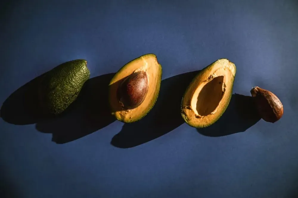 How to Grow Avocado from Seed to Fruit — Complete Timeline