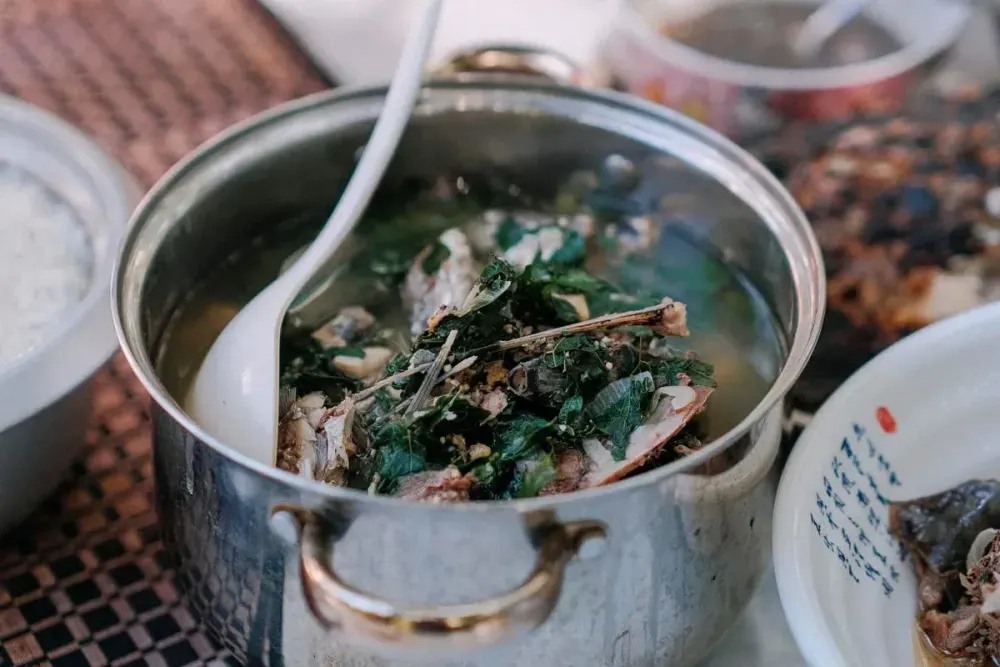 Instant Pot Bone Broth in 3 Hours — the MAHA Method With Tallow