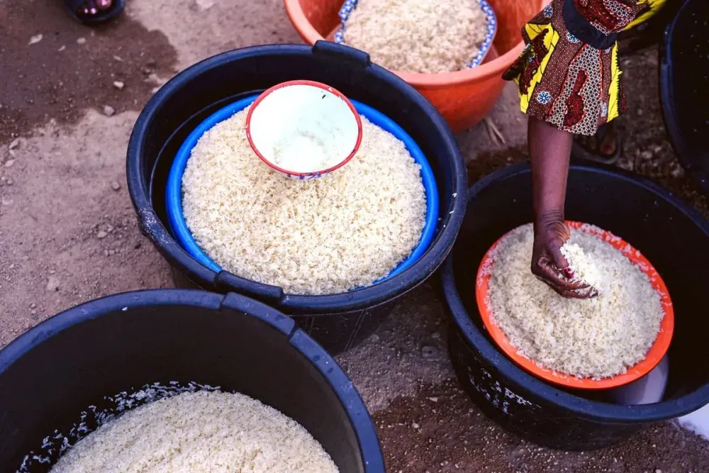 Nigerian Jollof Rice in Ghee — Authentic West African Recipe