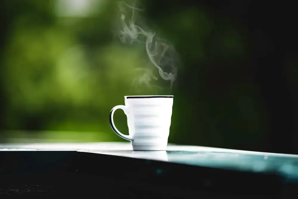 Savor Coffee — 20 Ancestral Coffee and Drink Recipes Seed Oil Free