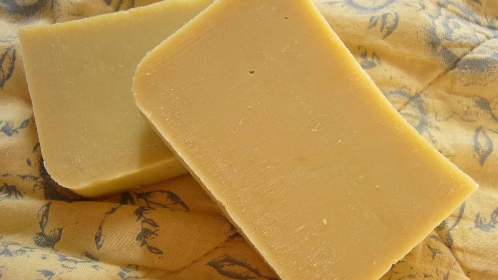 Bars of homemade tallow soap — photo for the seed-oil-free guide: Beef Tallow for Skin