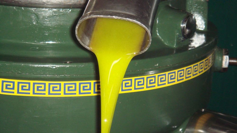 Extra virgin olive oil — photo for the seed-oil-free guide: What Is the Healthiest Cooking Oil?
