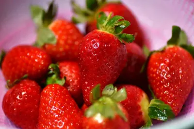 Grow Strawberries — The MAHA Kitchen Garden Guide to Year-Round Harvests