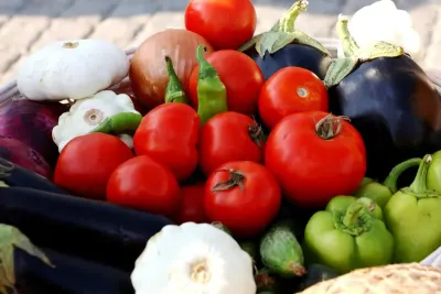 Savor Plants — Vegan Seed Oil Free Recipes Cooked in Coconut Oil and Olive Oil