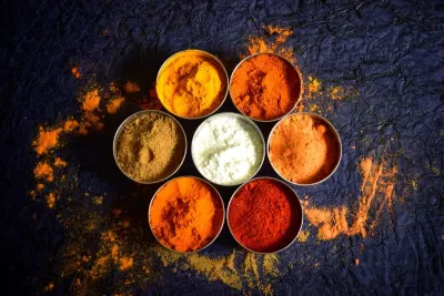 Savor Spices — Spice-Forward Seed Oil Free Recipes From Around the World