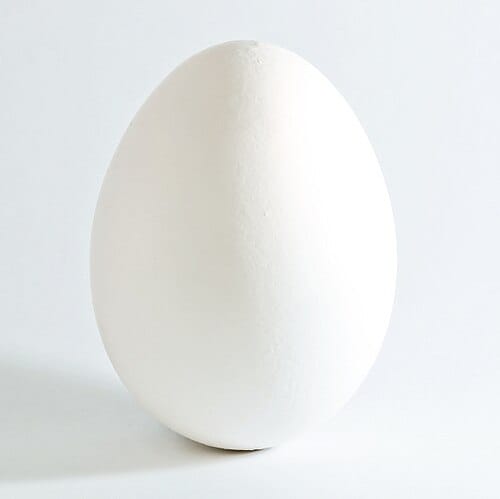A chicken egg