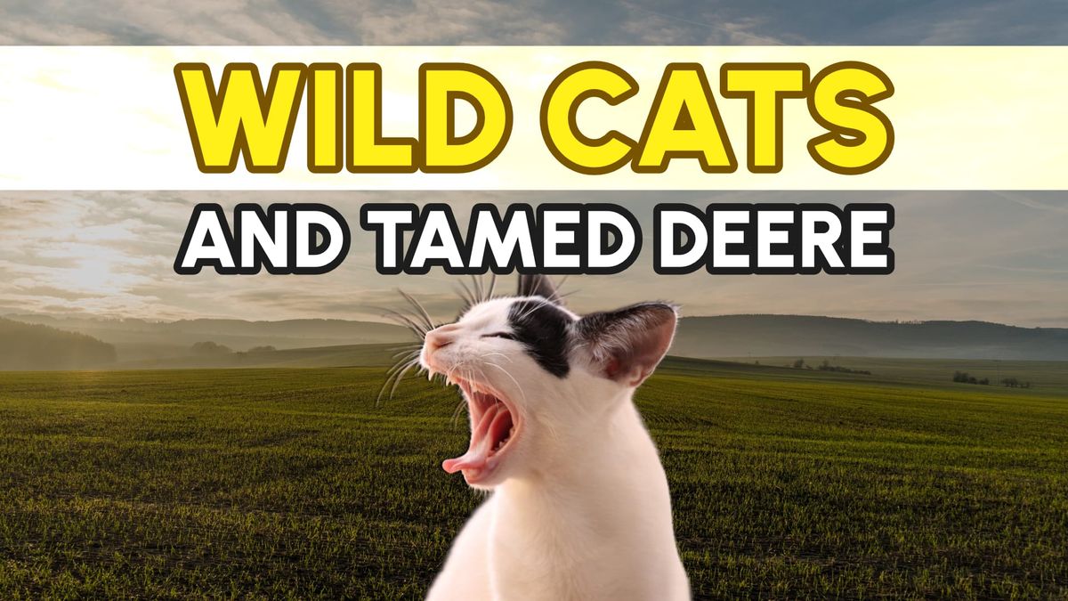 Wild Cats and Tamed Deere