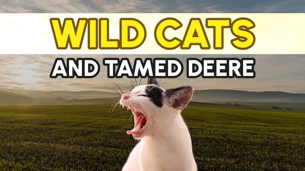 Wild Cats and Tamed Deere