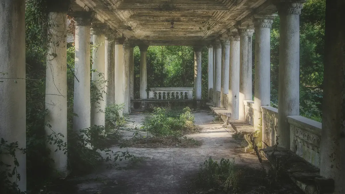 An ancient collonade, overgrown with plant life, being lost to the forest.