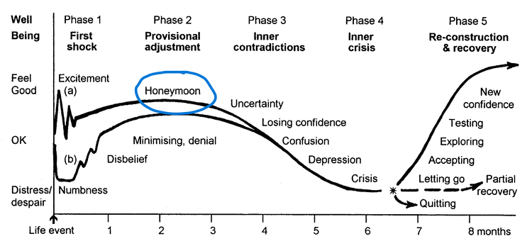 Graph showing 5 stages of adjustment, a W shaped curve with ups and downs, the up point of the honeymoon is circled