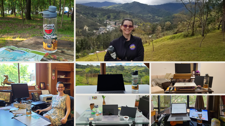 Sticker of "Free Palestine" with watermelon slice. Pic of me with bottle on a hike. 5 pics of desk set up with bottle.