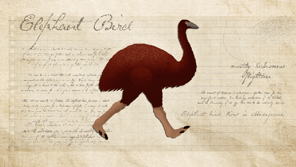 elephant_bird