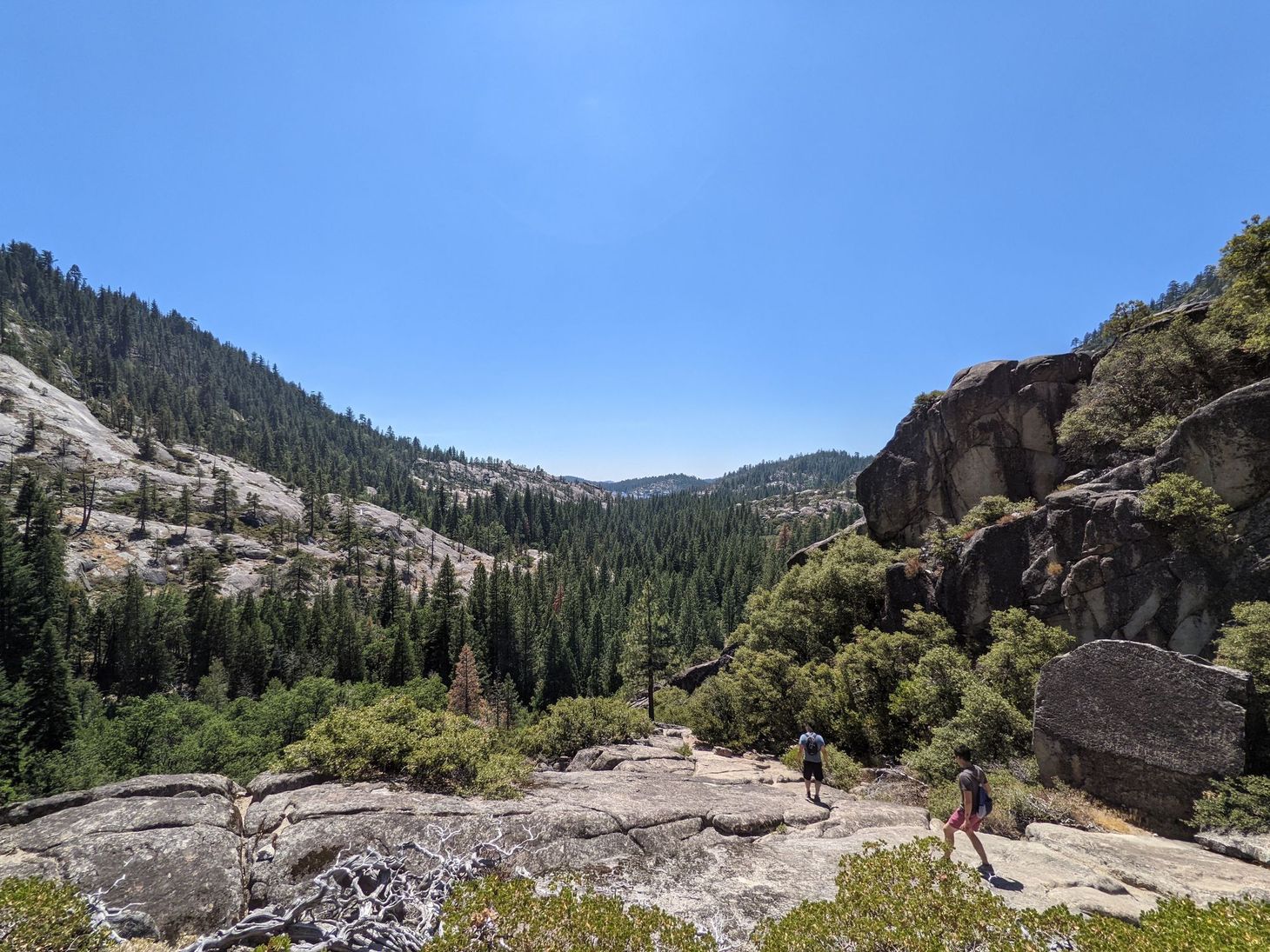 ✏️ Tam's Jam: How to be a lifelong learner (August 2022)