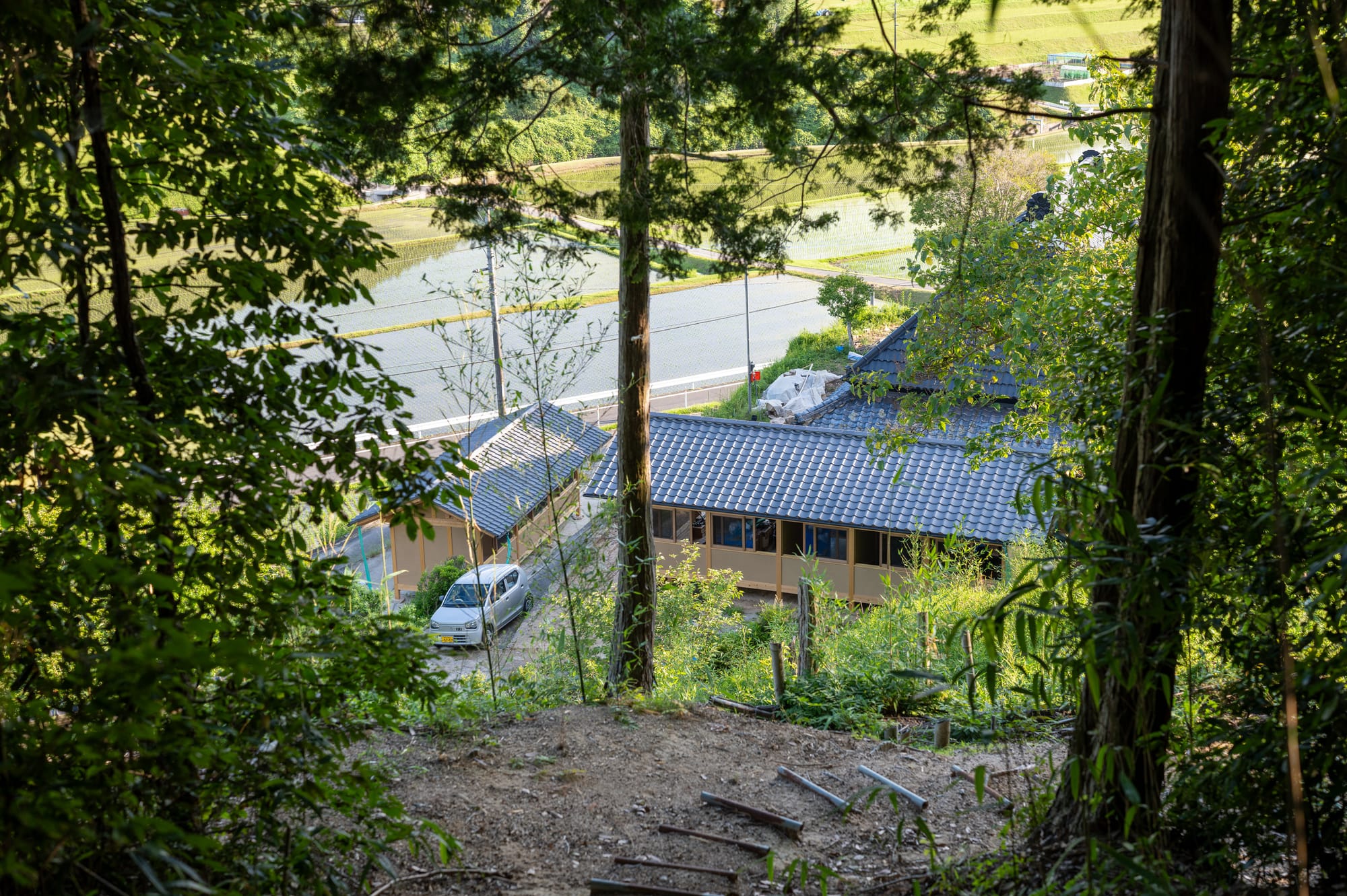 Four seasons to make a Japanese carpentry school