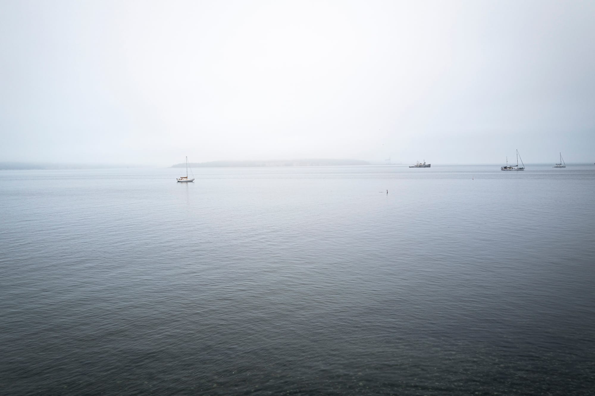 A Talk at the Port Townsend Japanese Woodworking Festival