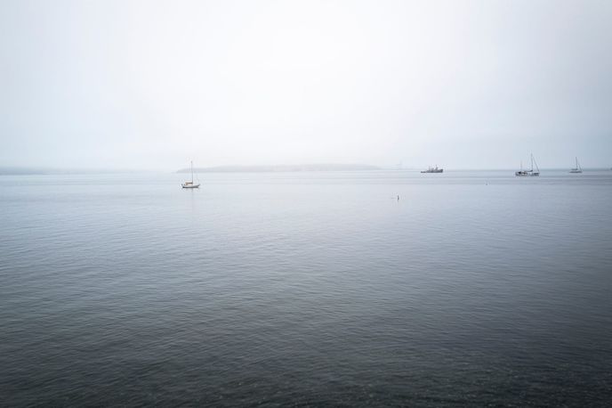 A Talk at the Port Townsend Japanese Woodworking Festival