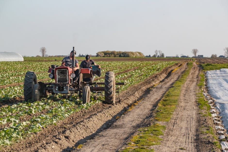 The Role of PCSOT in Offender Management