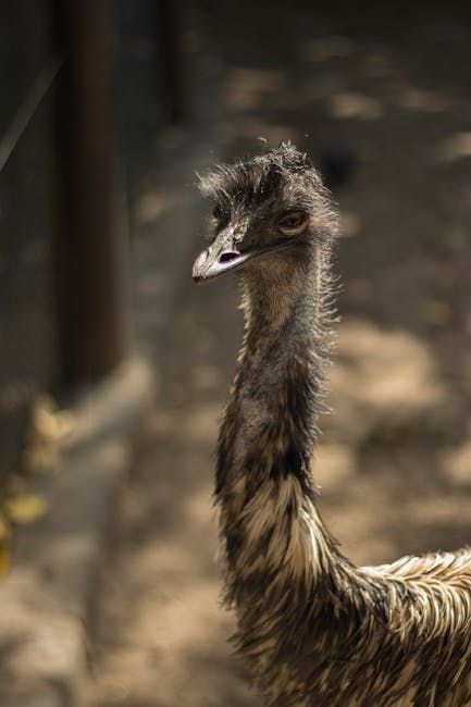 The Evolution of Polygraph Licensing Requirements