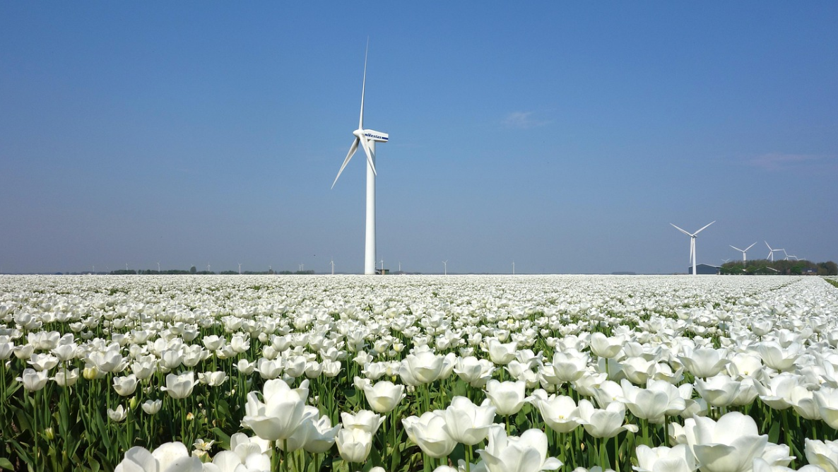 Green Energy - is it a scam?