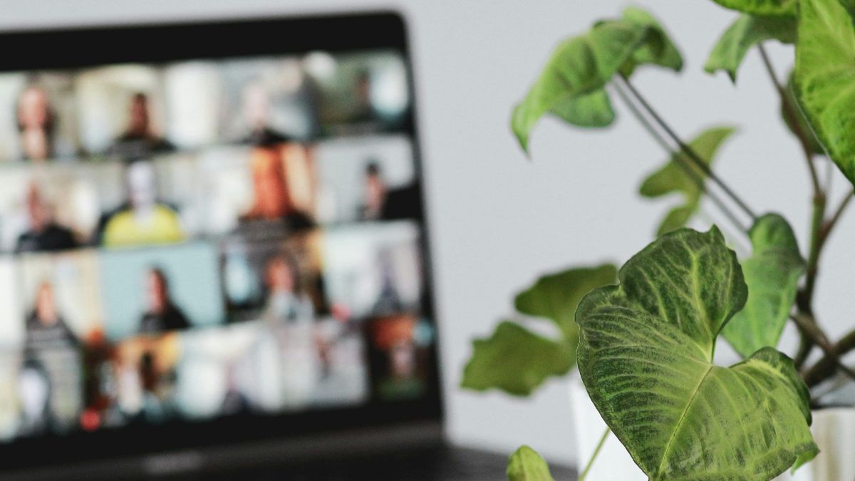 Cloverleaf raises $7.3 million to advance workplace coaching platform