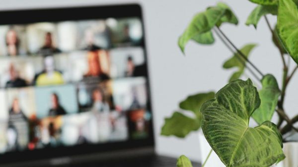 Cloverleaf raises $7.3 million to advance workplace coaching platform