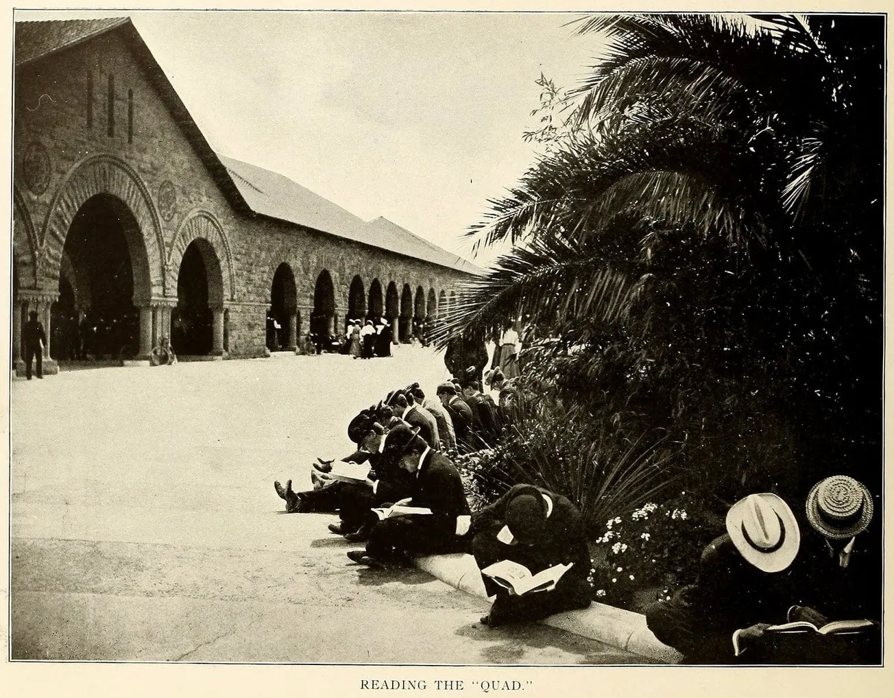 Classes for the College Contrarian: Fall '26