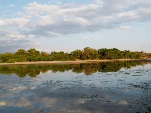 Speaking Out to a Crowd that Won’t Listen