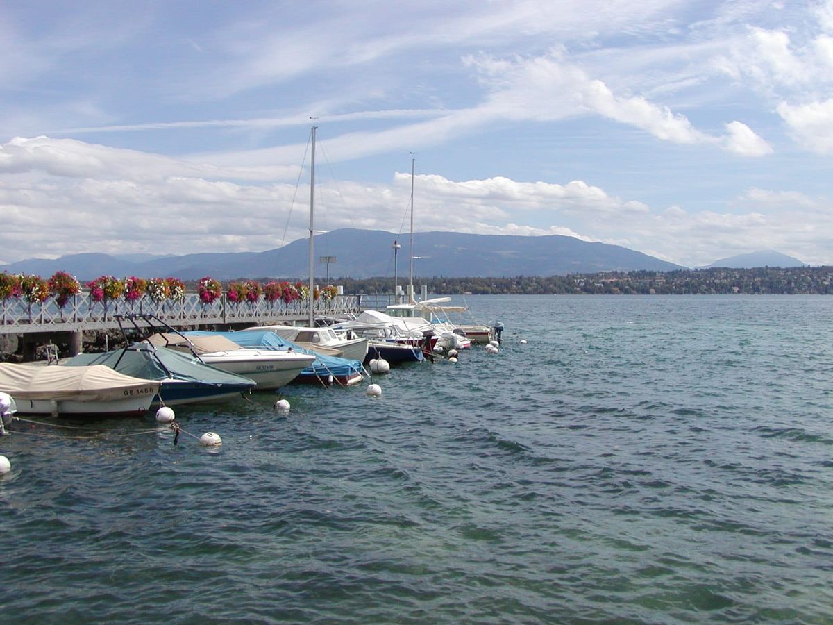 Genfersee von Bellevue aus gesehen