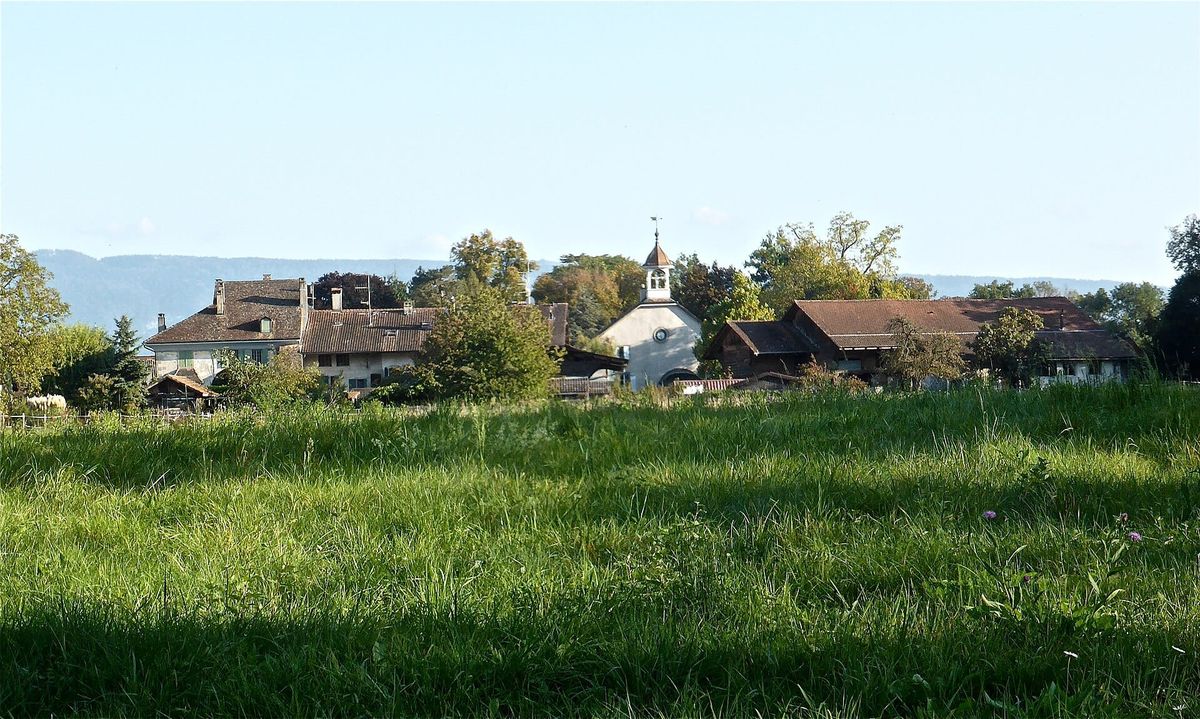 Häuser im Dorf Cartigny