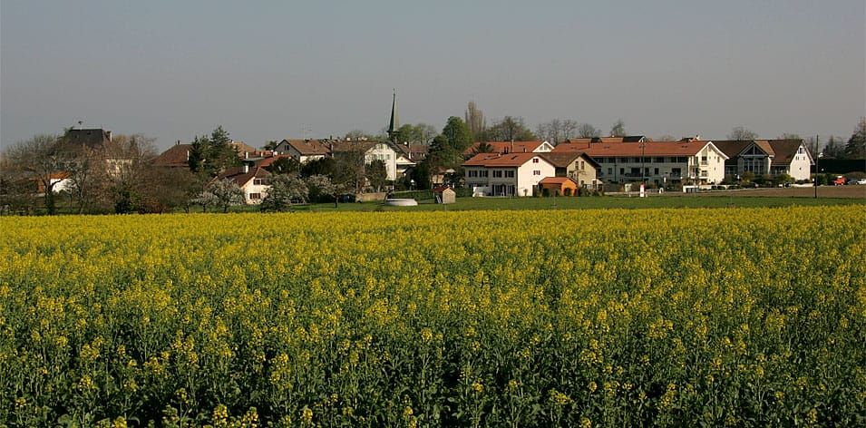 Ortsansicht von Jussy