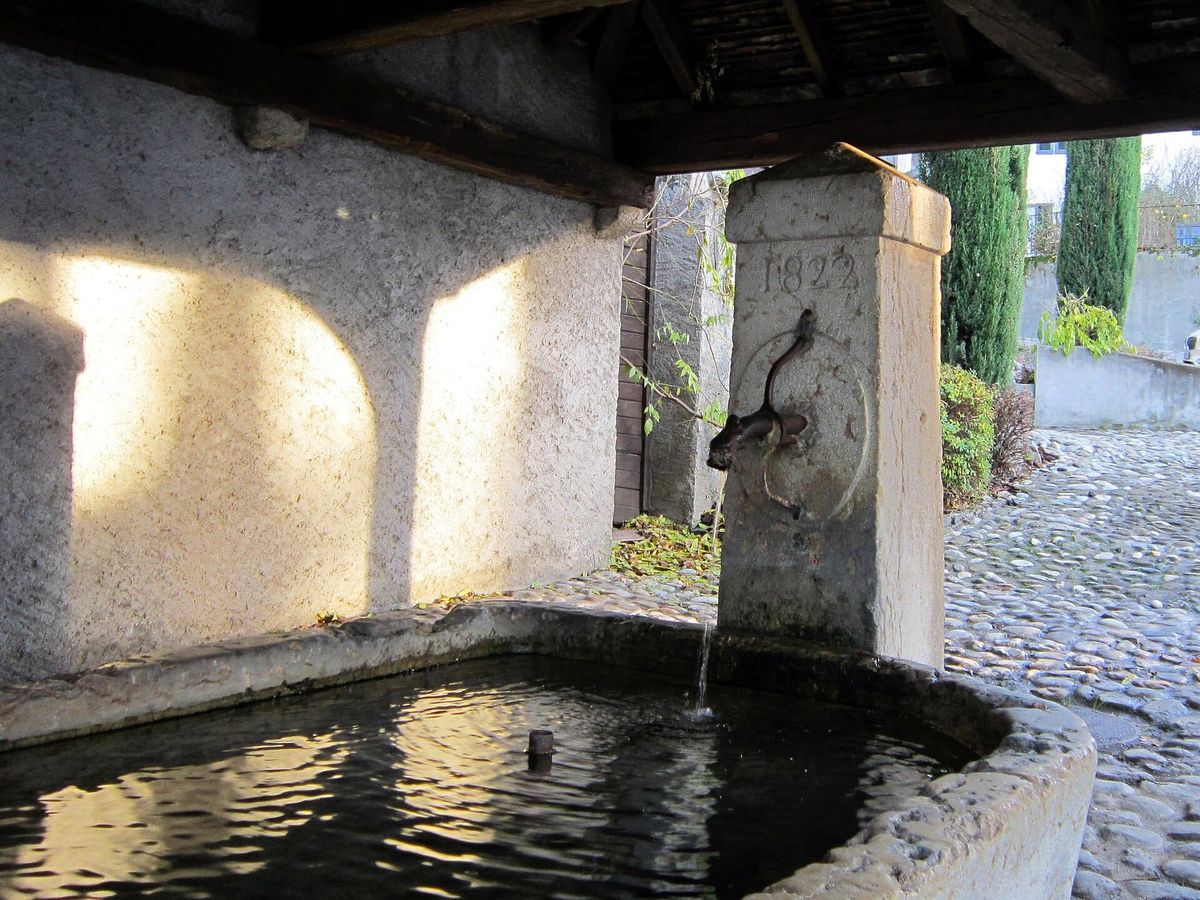 Brunnen in Le Grand-Saconnex