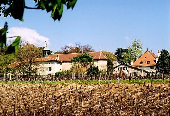 Rebberg und Dorf Satigny