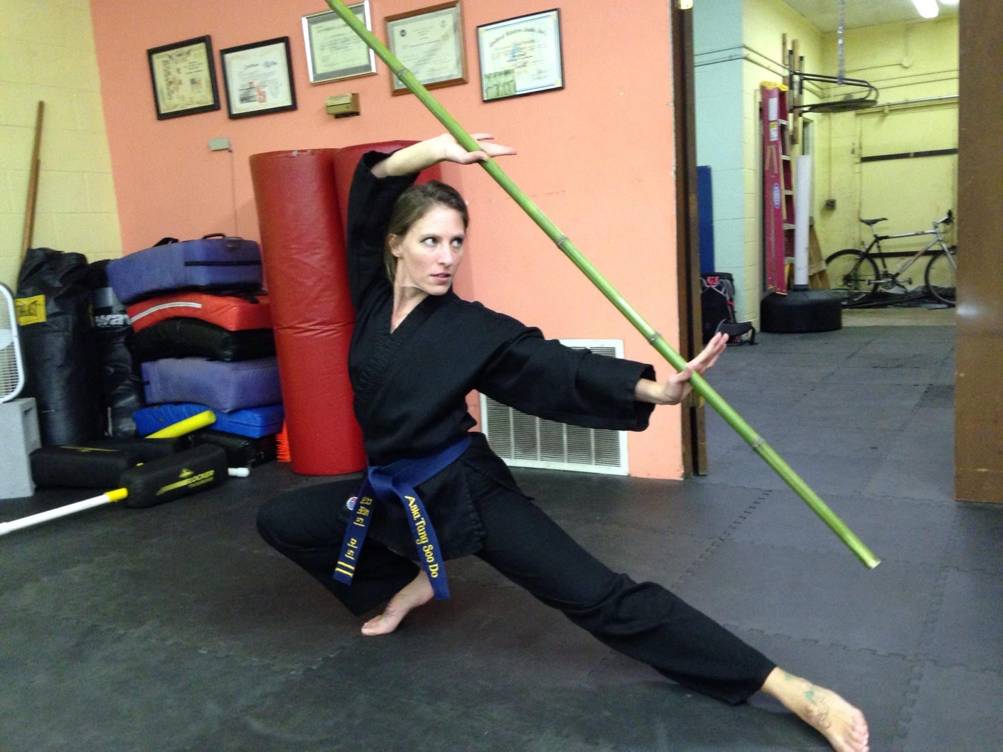 The MOO DUK KWAN 무덕관 and Tang Soo Do  당수도 - Part VI