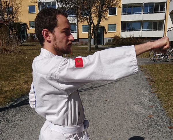 The MOO DUK KWAN 무덕관 and Tang Soo Do  당수도 - Part VII