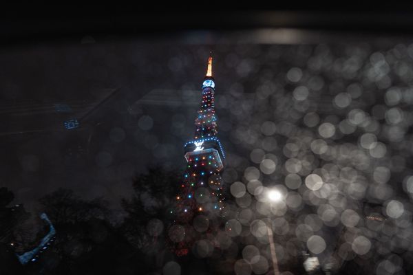#019 - 2022年もあと5日／進化するヴィーガンレザー／『洋装の日本史』／年末年始ハマりそうなゲーム