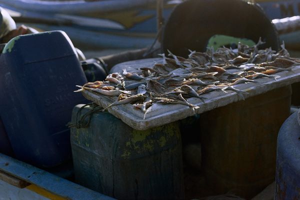#099 - 手札を増やすのではなく、並べ替える。写真と人生の後半戦、AIとこれからの仕事