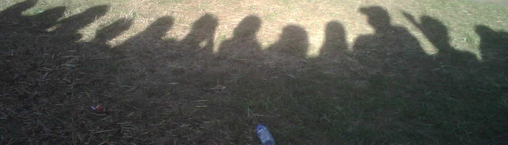 A photograph I took at Reading Festival 2007 of the shadow of myself and other people cast onto the grass between the front barrier and the stage