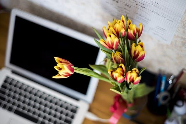 A bunch of tulips in a vase, blurred in the background is a laptop on a wooden desk