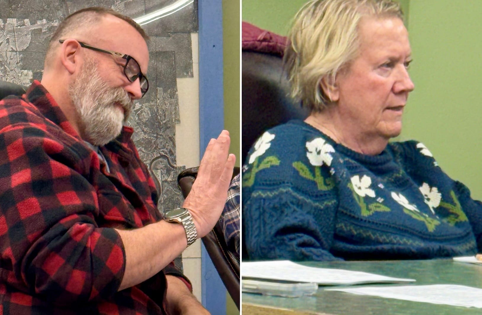 Machias Officials Weigh Local Options to Control Exploding Deer Population, Address Complaints