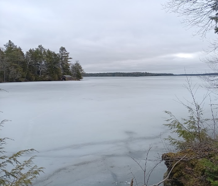 Freedom Studies: ICE Out