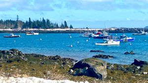 Jonesporters to Vote on Working Waterfront at Annual Meeting