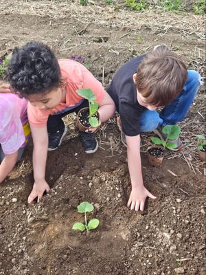 Women for Healthy Rural Living Receives $6,500 Grant