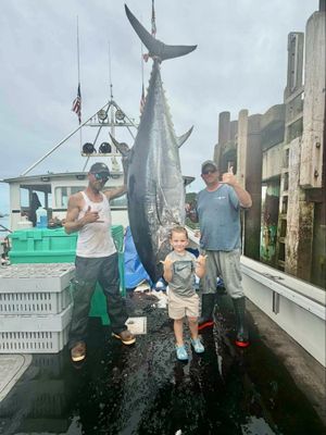 ‘Sorry, Charlie!’ Fishermen’s Tuna Catch Might be a First in Bucks Harbor’s Waters