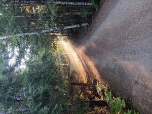 Freedom Studies: September