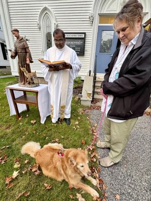 A Blessing for ‘All Creatures Great and Small’