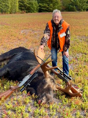 No ‘Bull’-winkle About it! Jonesport Woman, 77, Bags 701 lb. Moose