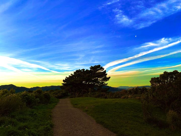 Controlling for large language models in decision making chains