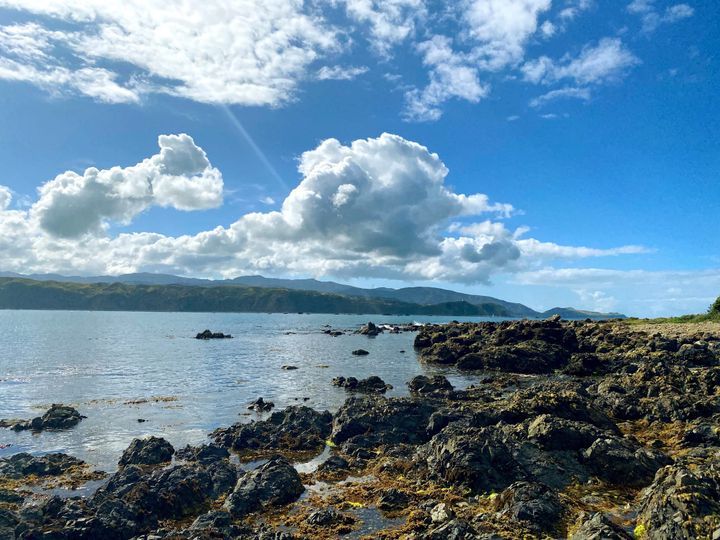 Leveraging System 0: Mixing Human and Artificial Knowledge Agents